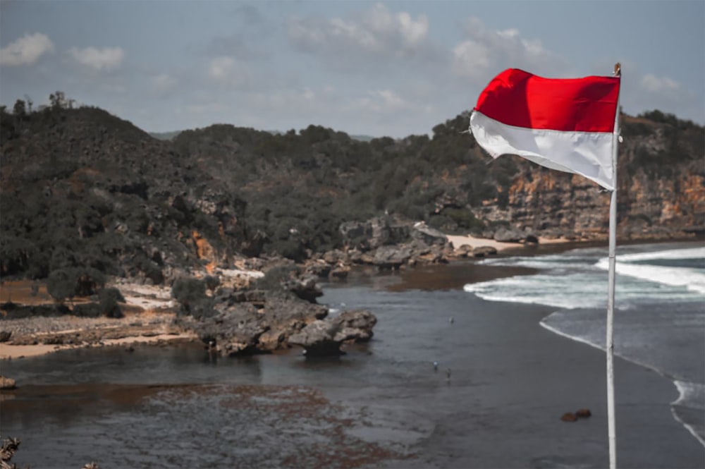 昼間の岩だらけの海岸の白と赤の旗