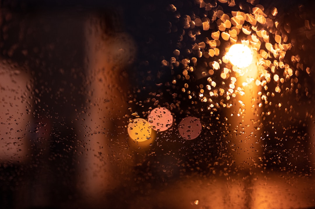 bokeh photography of water droplets