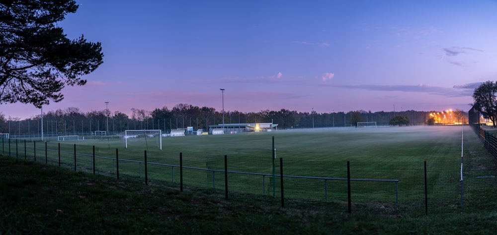 green grass field near body of water during daytime