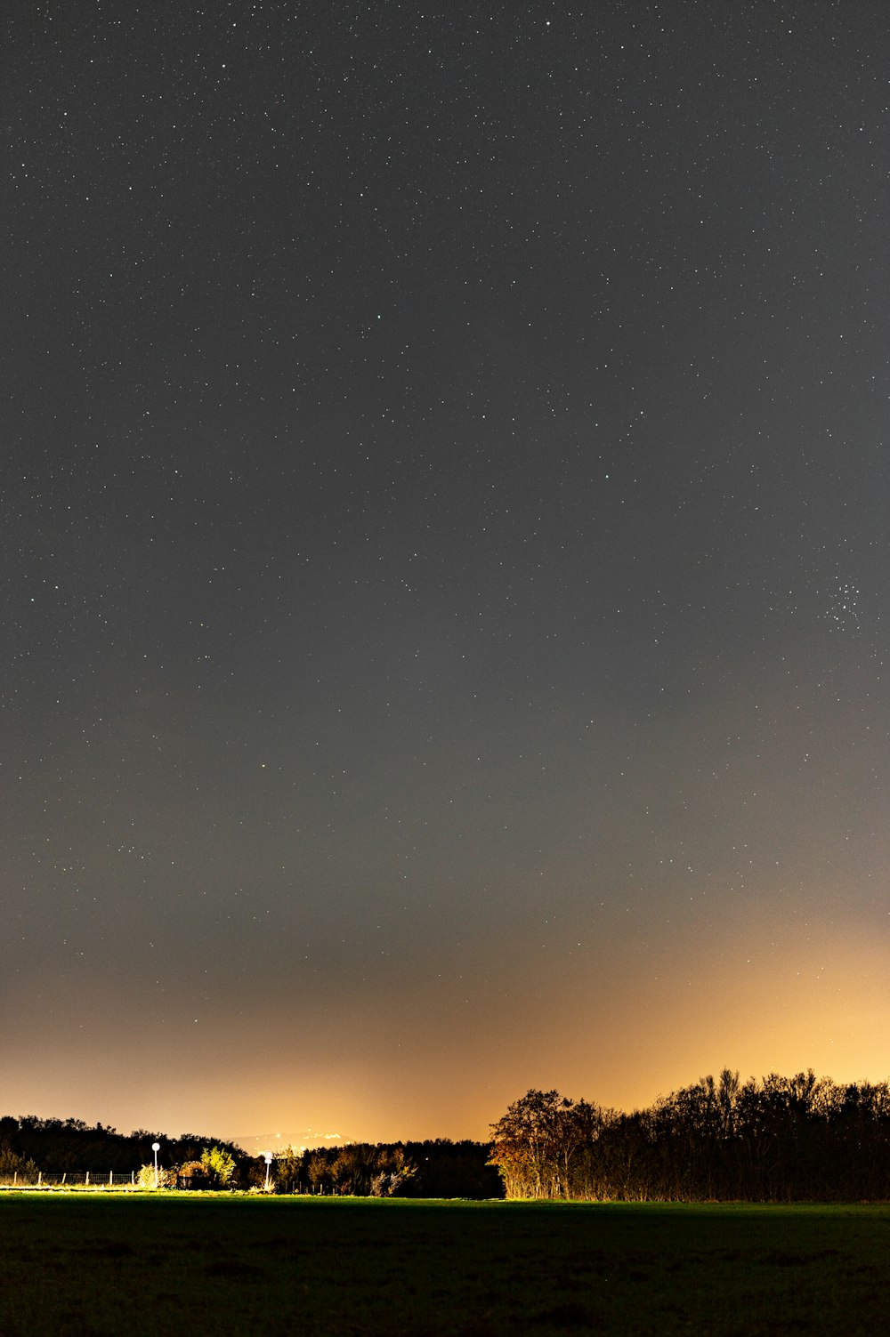 silhouette of trees under starry night