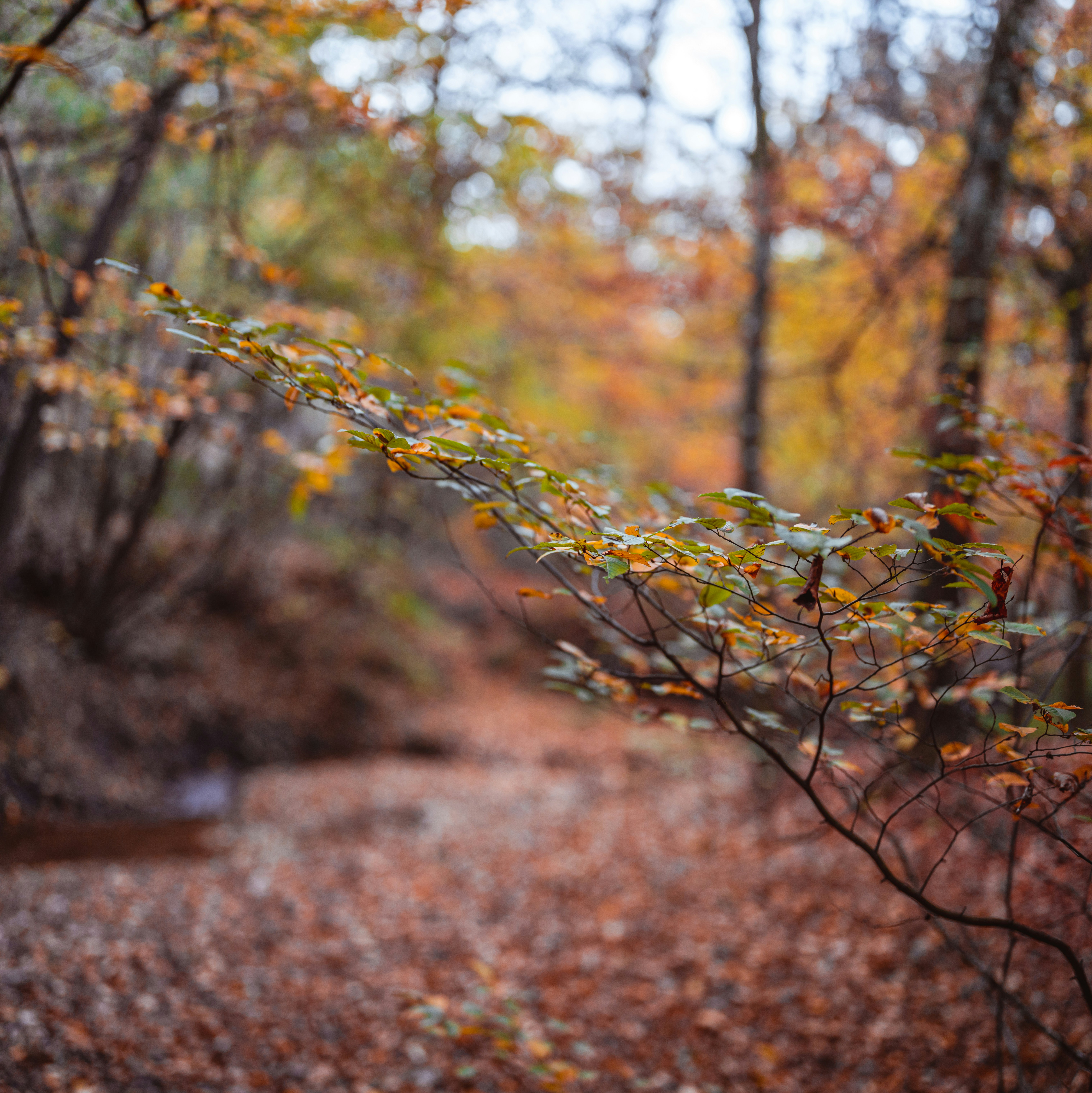 Photo by andreasbrun