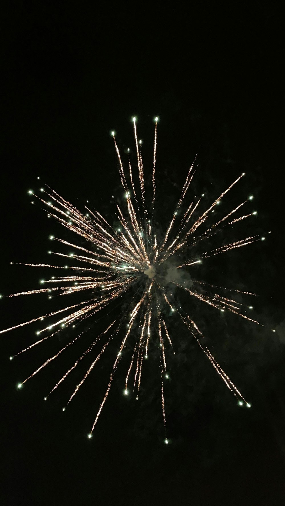 white and brown fireworks in the sky