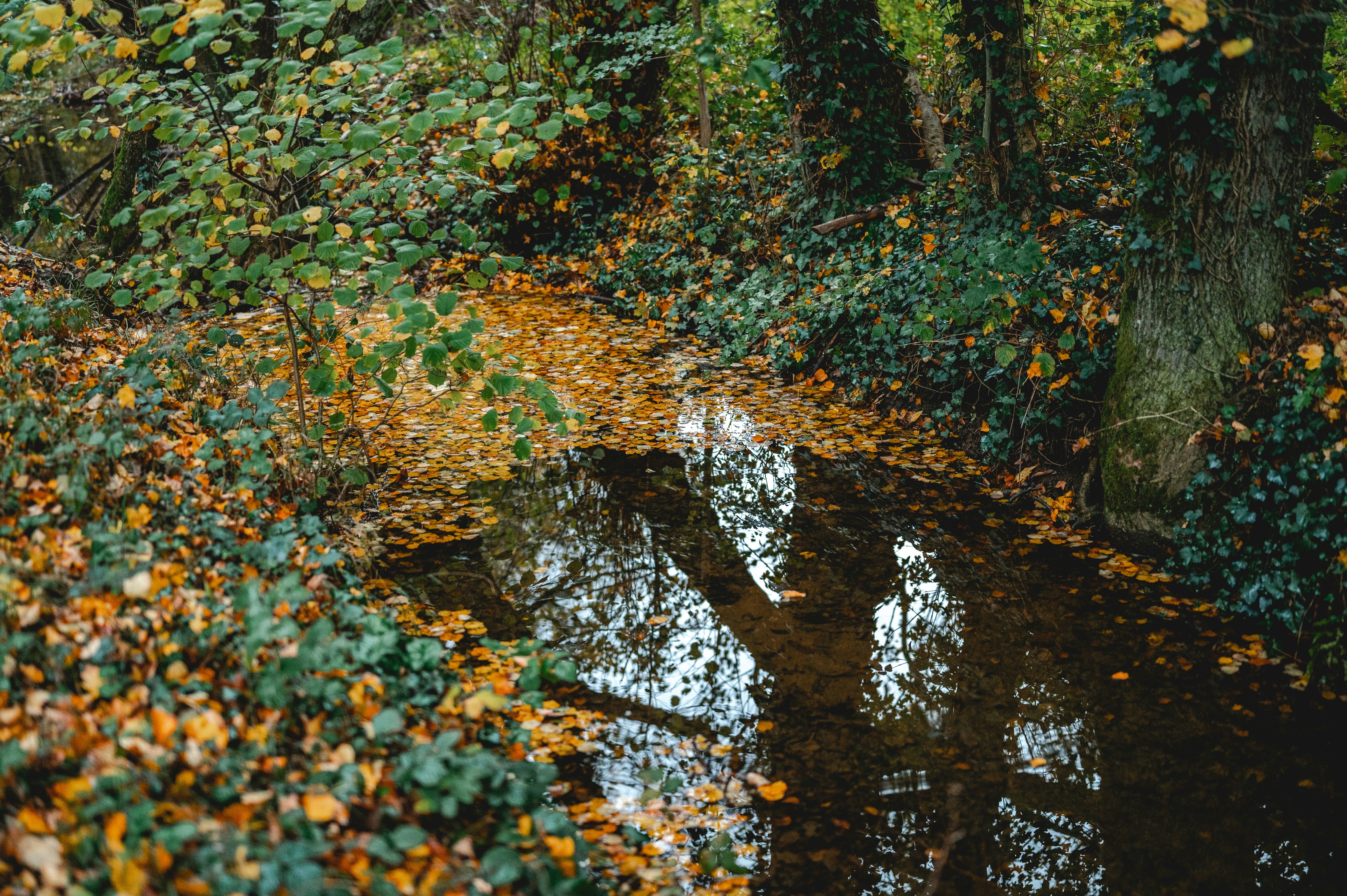 Photo by andreasbrun