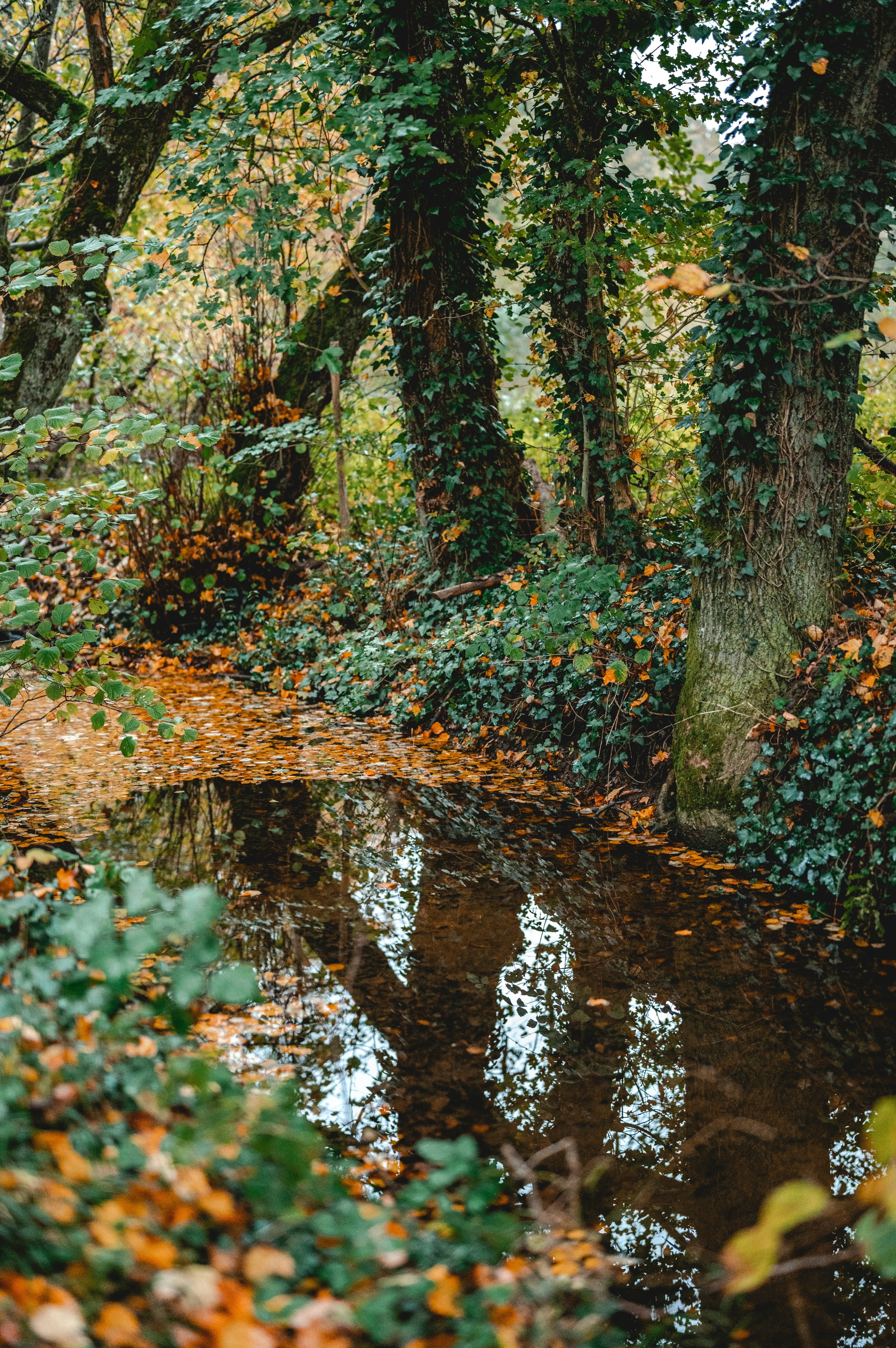 Photo by andreasbrun