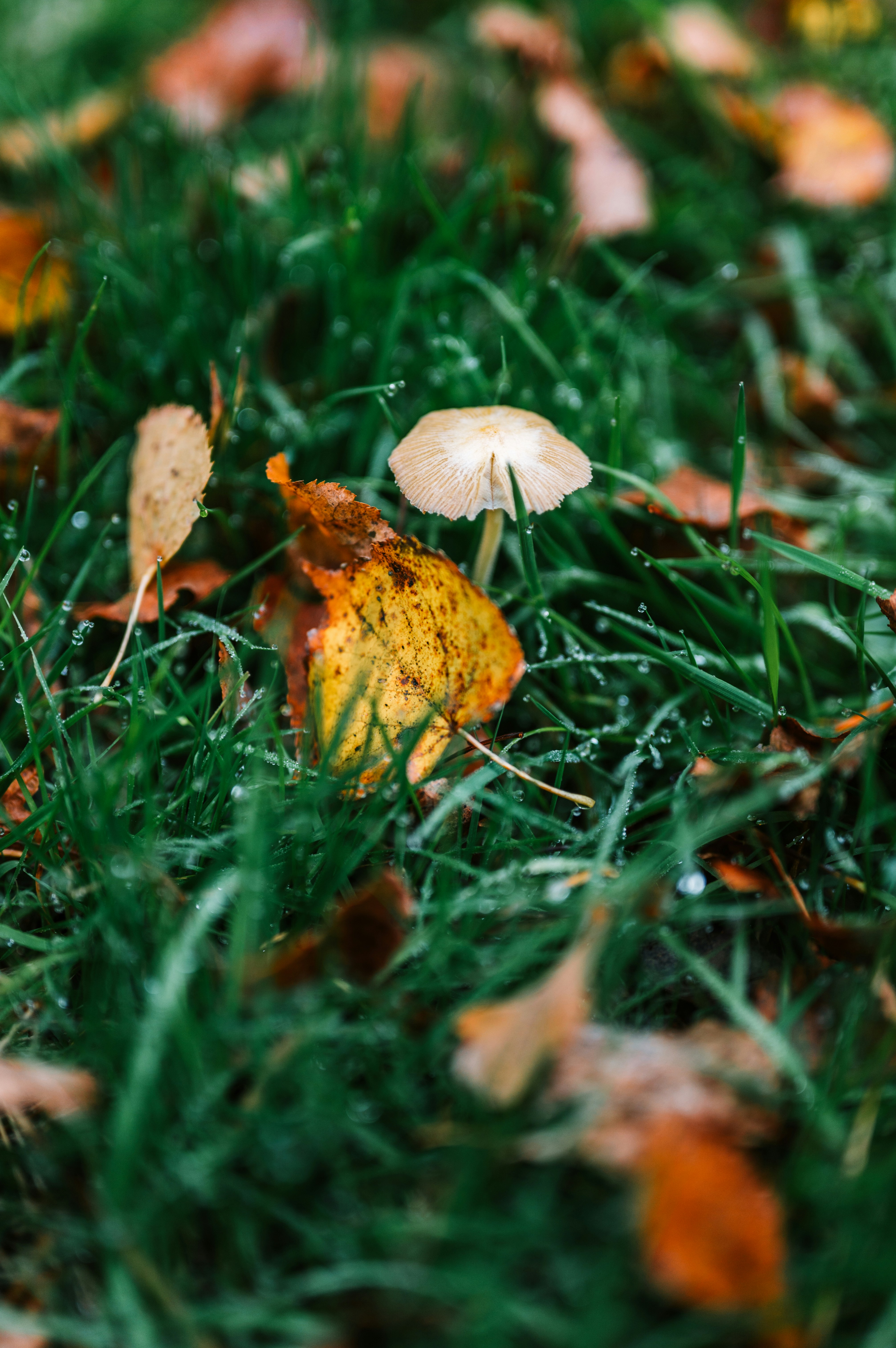 Photo by andreasbrun