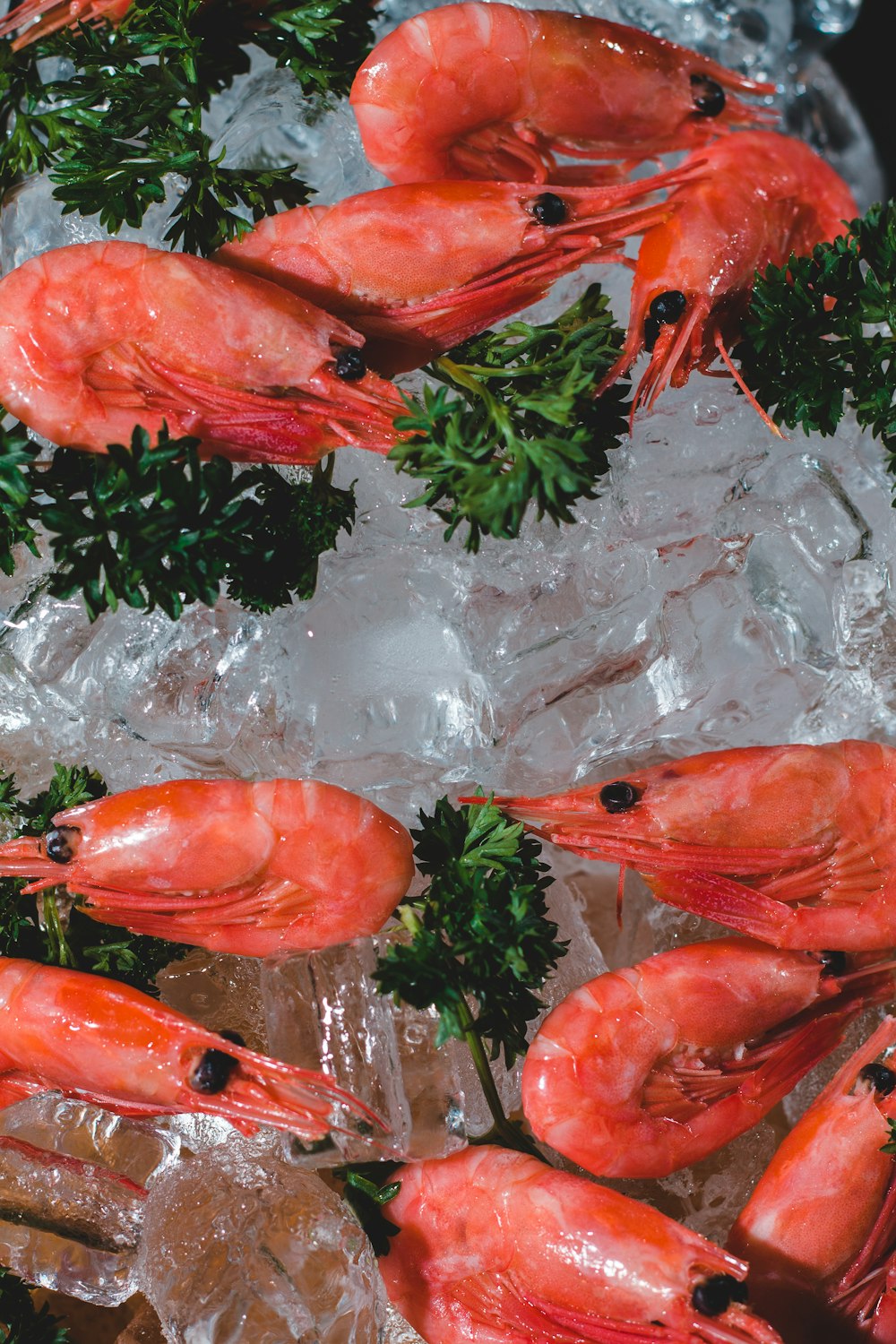 透明なプラスチックパックの上の氷の上の赤い魚