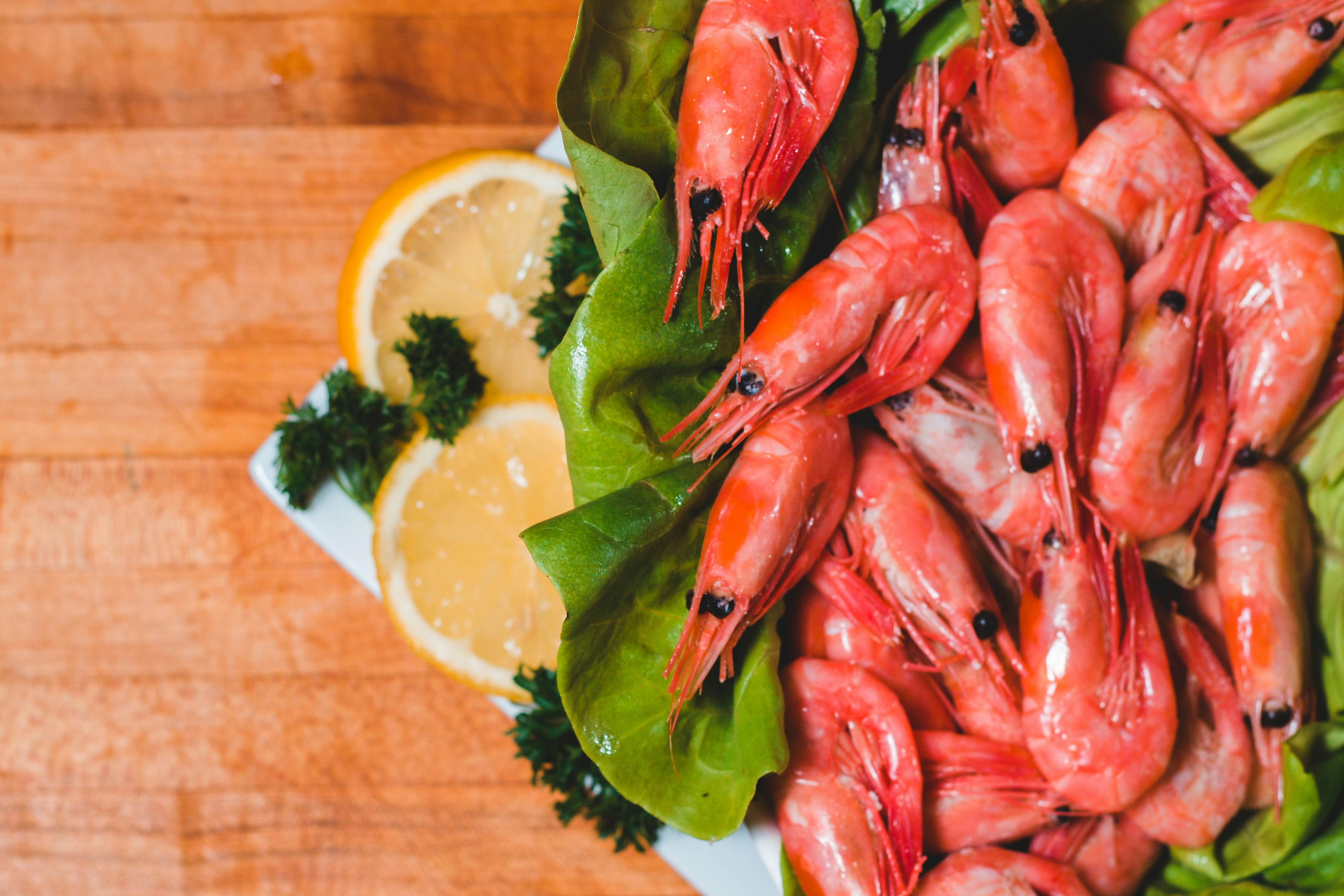 Photo by introspectivedsgn