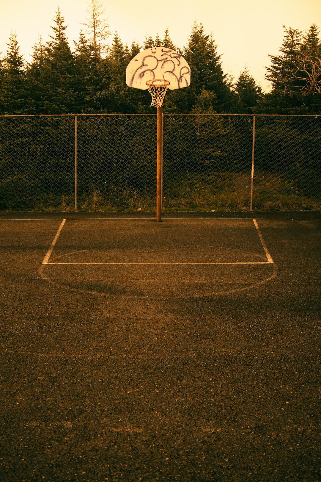 basketball hoop on basketball court