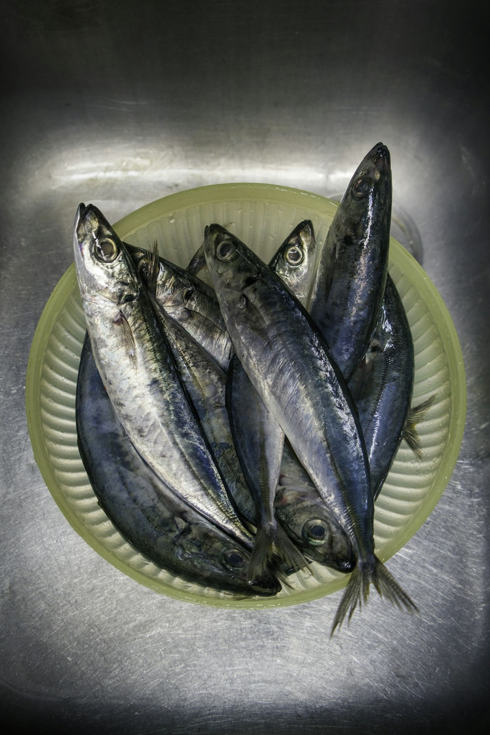 Silberfisch auf weißem runden Teller