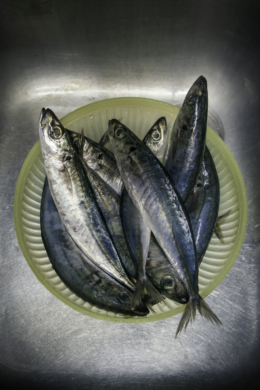 silver fish on white round plate