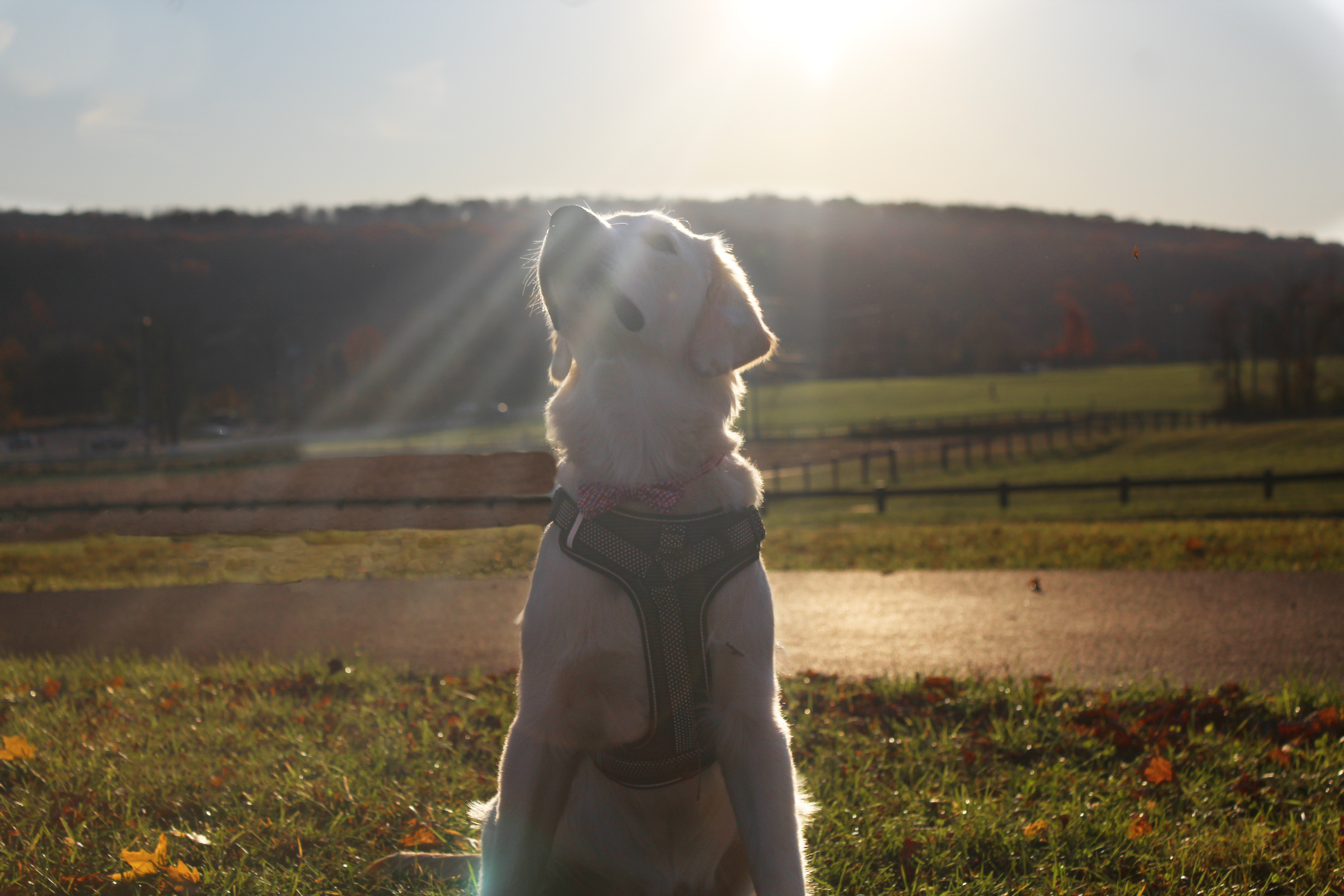 Photo by captain_ameirca