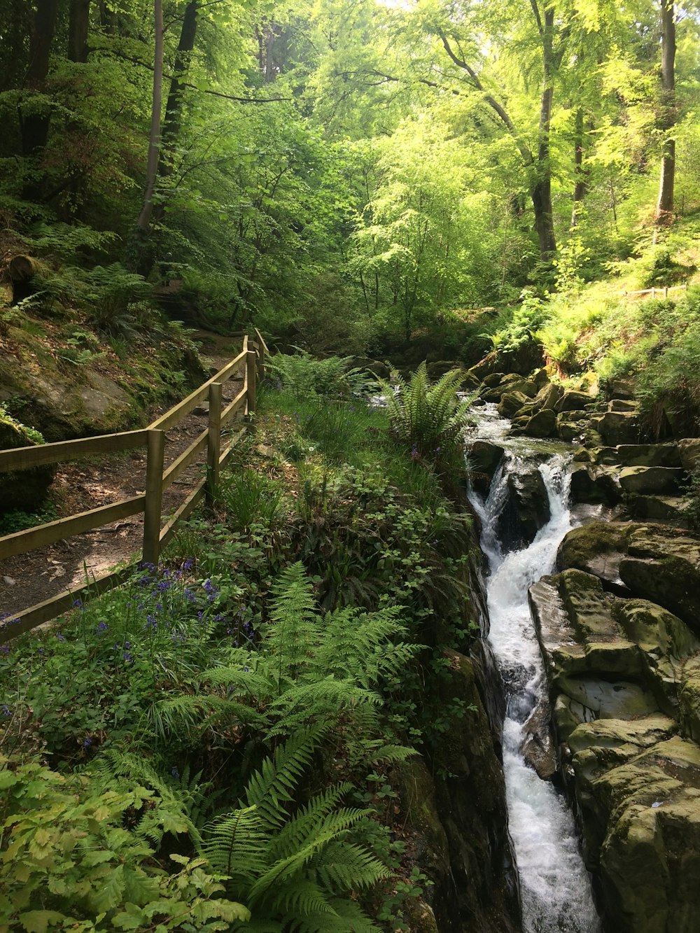 Braune Holzbrücke über den Fluss