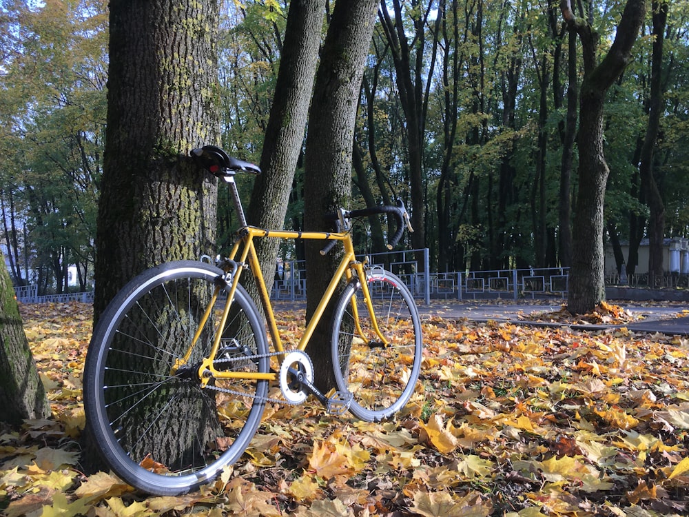black and yellow road bike on dried leaves on ground