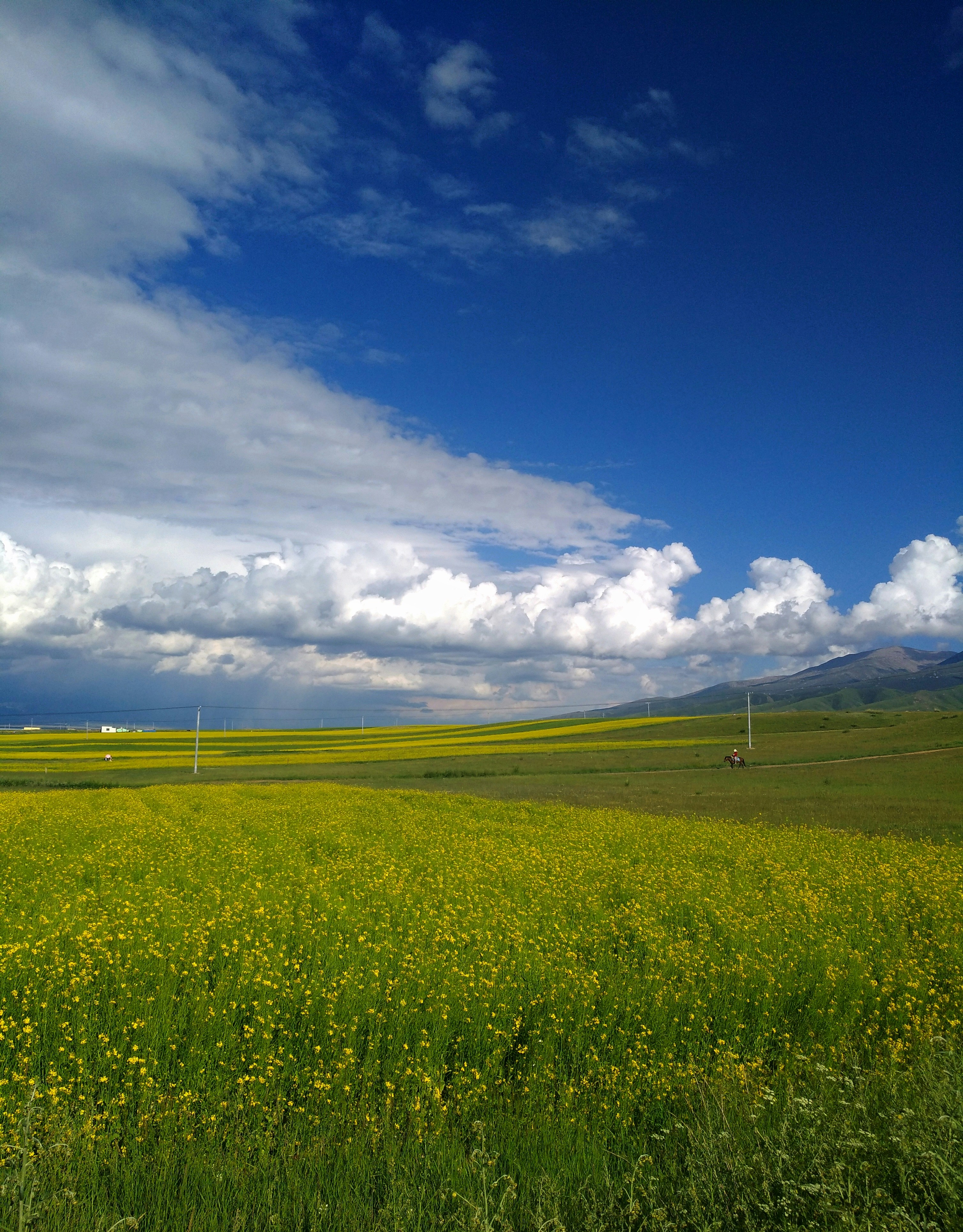 Photo by lsc122746
