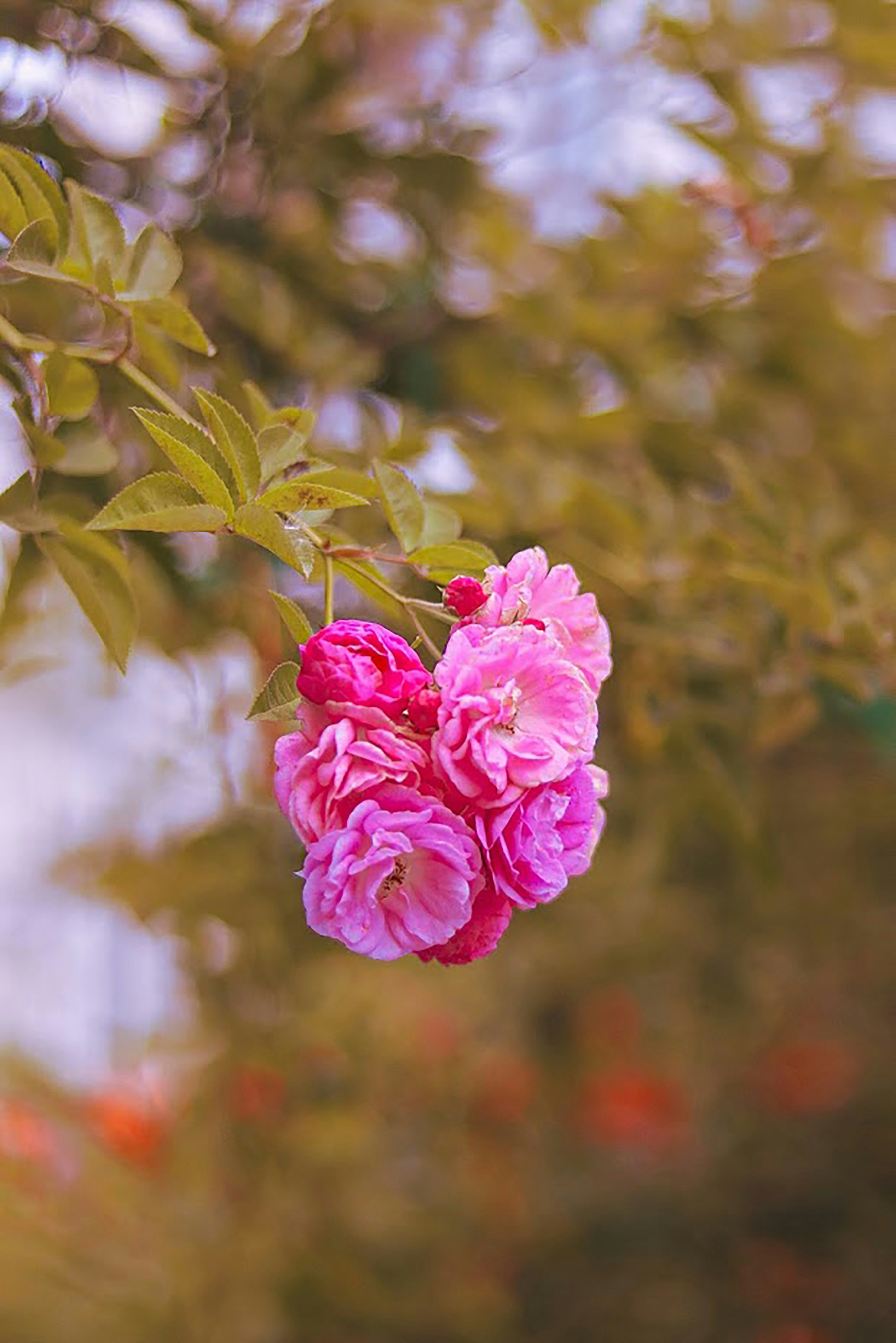 Photo by nasamthaufyq