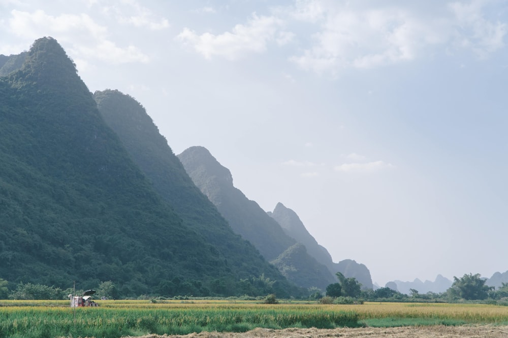 green grass field near green trees and mountain during daytime