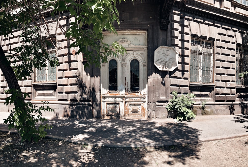 gray concrete building with green plants