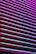 Horizontal blinds are illuminated by vibrant neon colors, creating a striking contrast between the shades of purples, pinks, and blues. The light casts colorful reflections and shadows across the blinds, giving them an abstract, modern appearance.