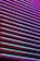 Horizontal blinds are illuminated by vibrant neon colors, creating a striking contrast between the shades of purples, pinks, and blues. The light casts colorful reflections and shadows across the blinds, giving them an abstract, modern appearance.