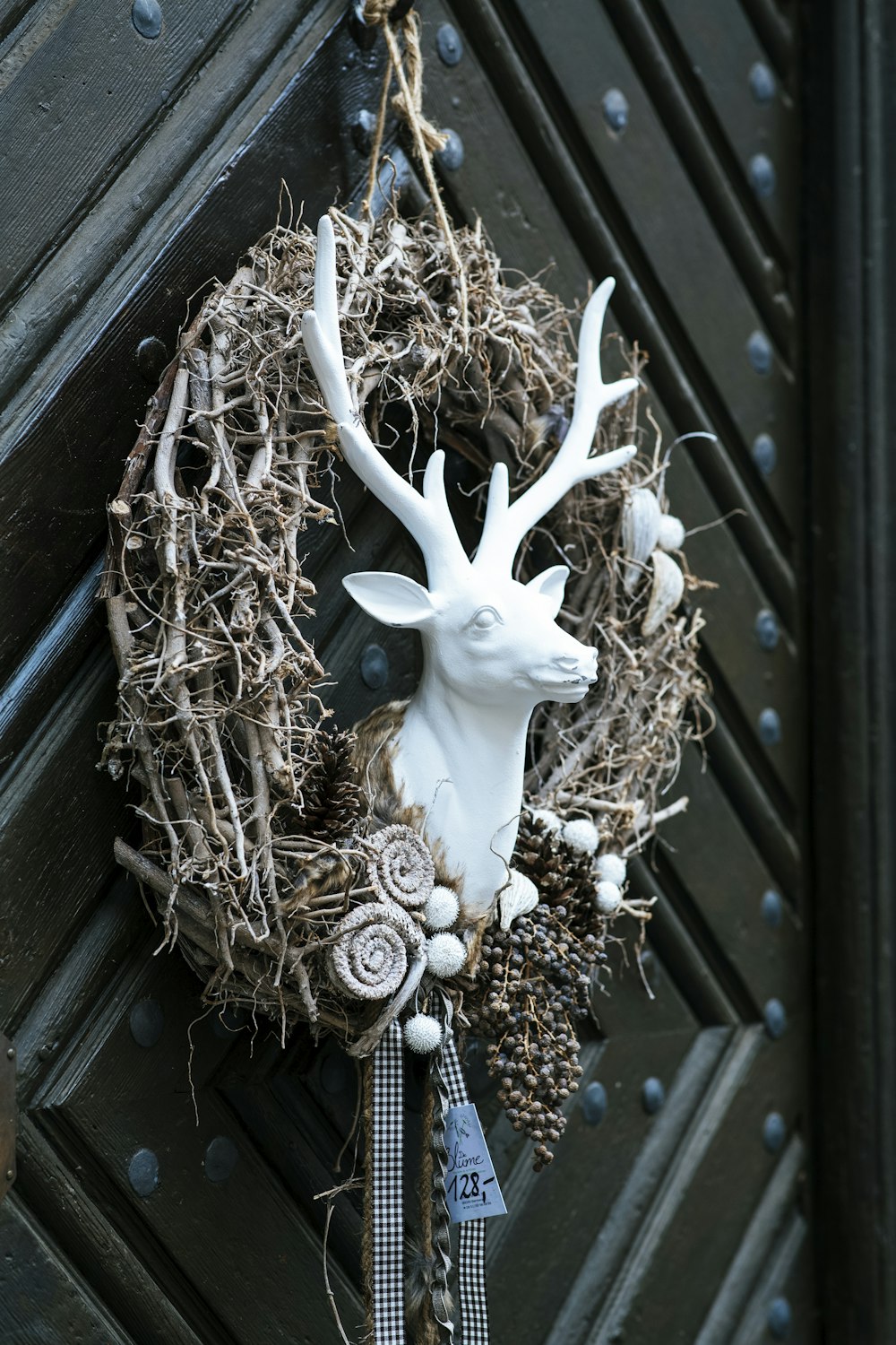 white animal skull on brown dried leaves