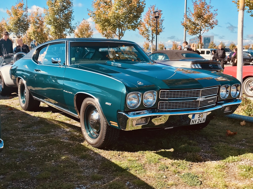 blue classic car parked on green grass field during daytime