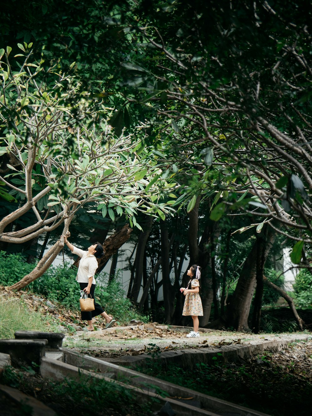 白い長袖シャツと黒いズボンを着た女性が、茶色の土の小道に立っています。