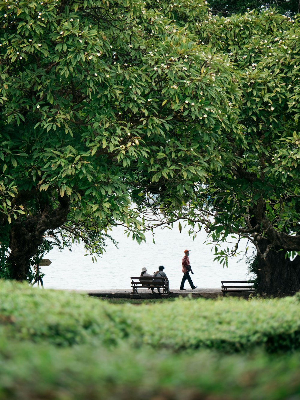 man and woman sitting on bench near body of water during daytime