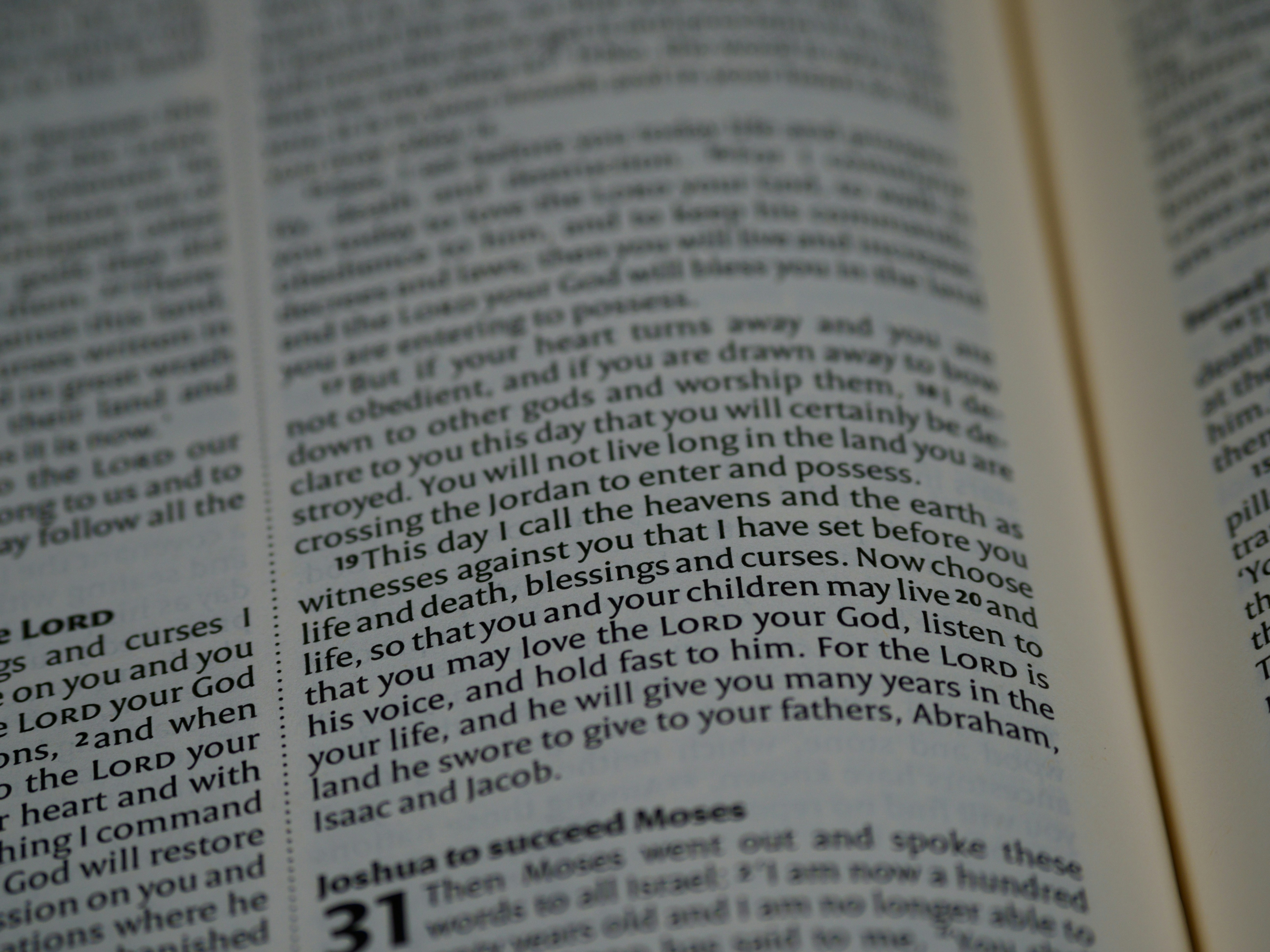 Photo by brett_jordan