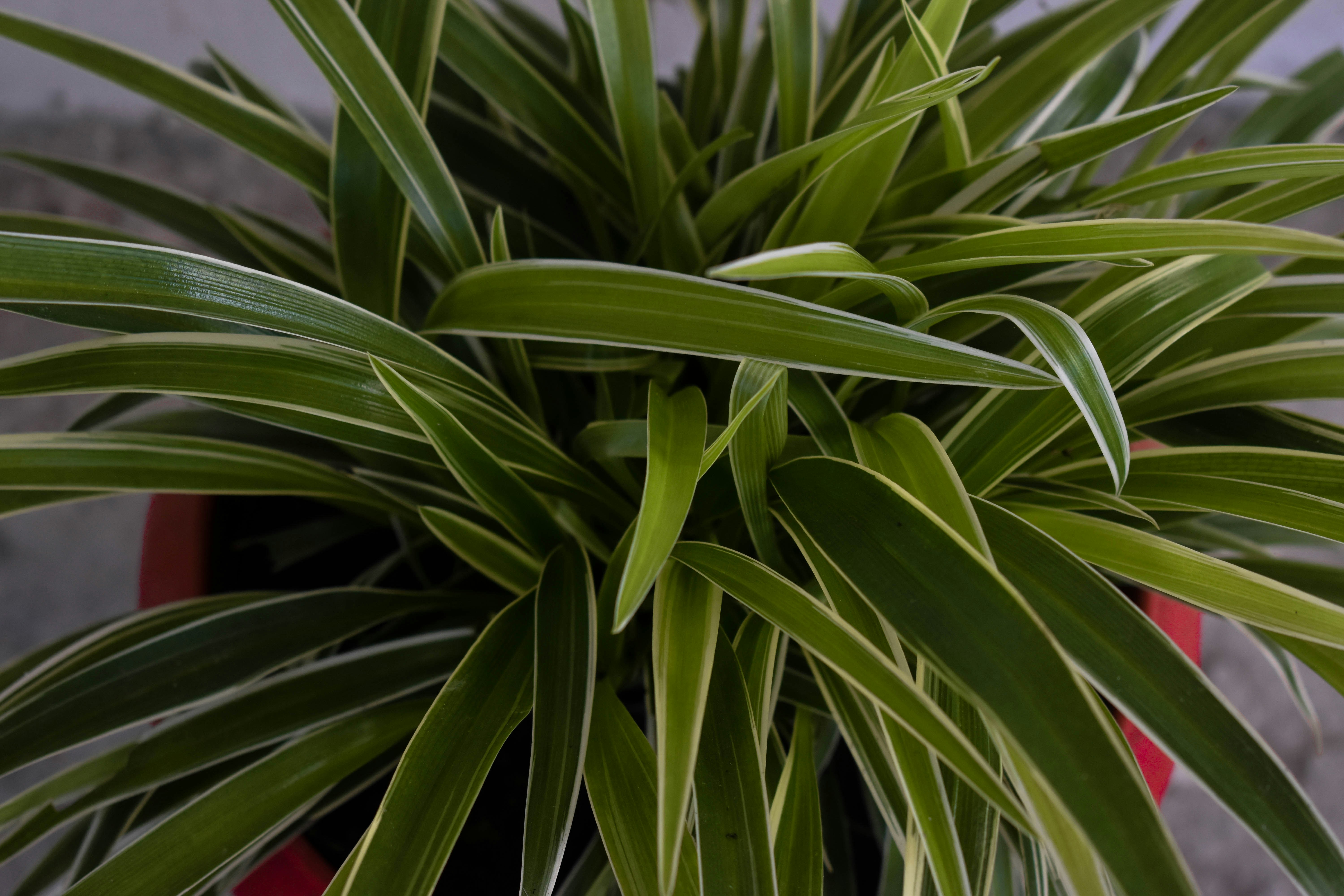 Photo by aadilsabeer0202