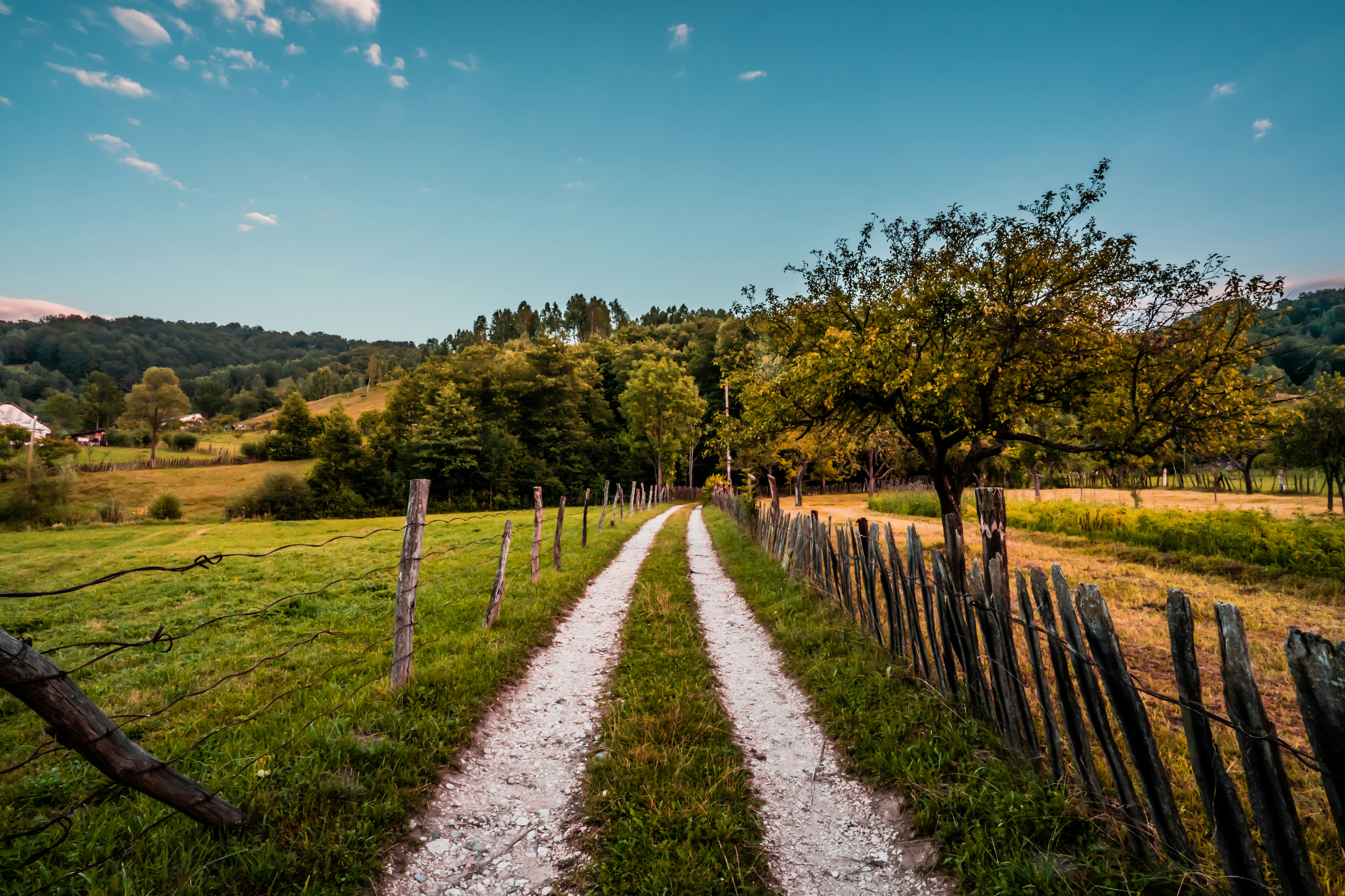 Photo by bostanflorin