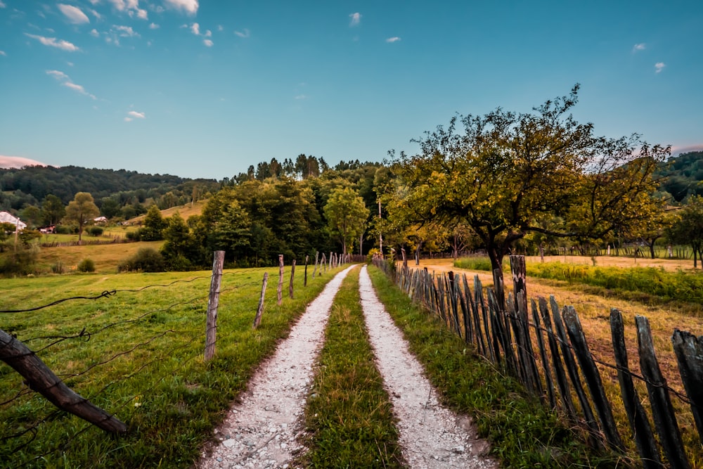 green grass field with brown wooden fence under blue sky during daytime