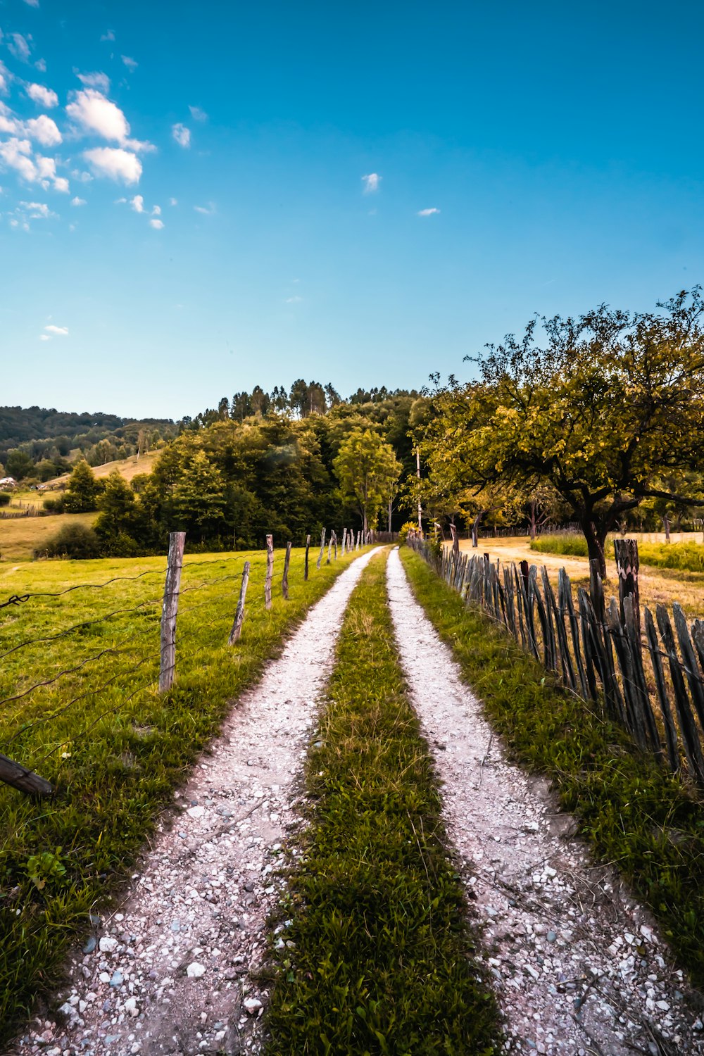 green grass field with brown wooden fence under blue sky during daytime