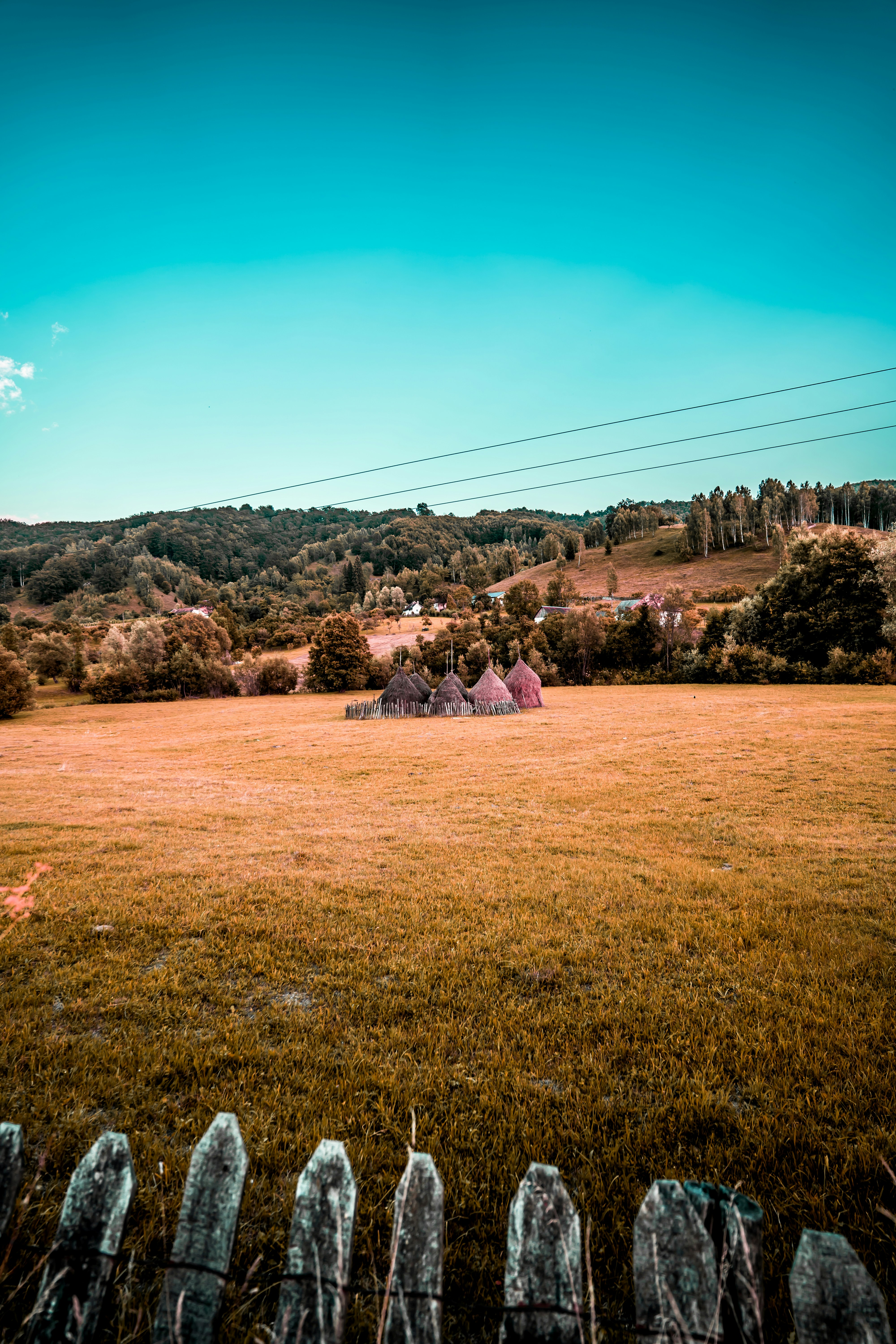 person in pink robe sitting on brown grass field during daytime