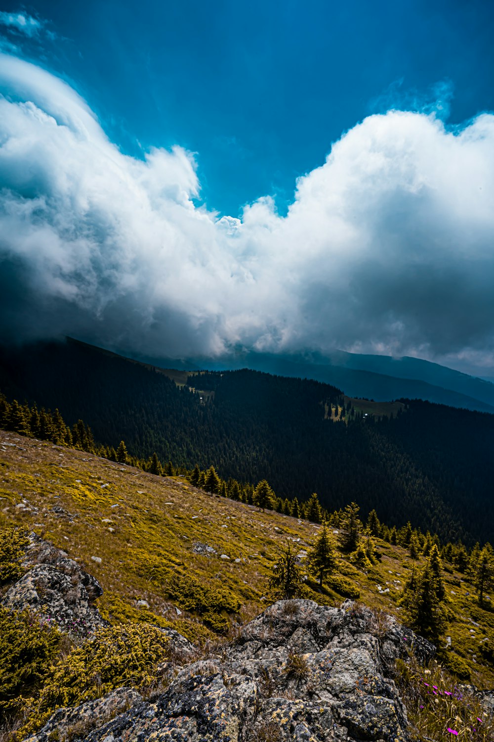 green trees on mountain under white clouds and blue sky during daytime