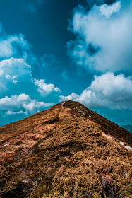A winding mountain trail surrounded by lush greenery under a bright sky.