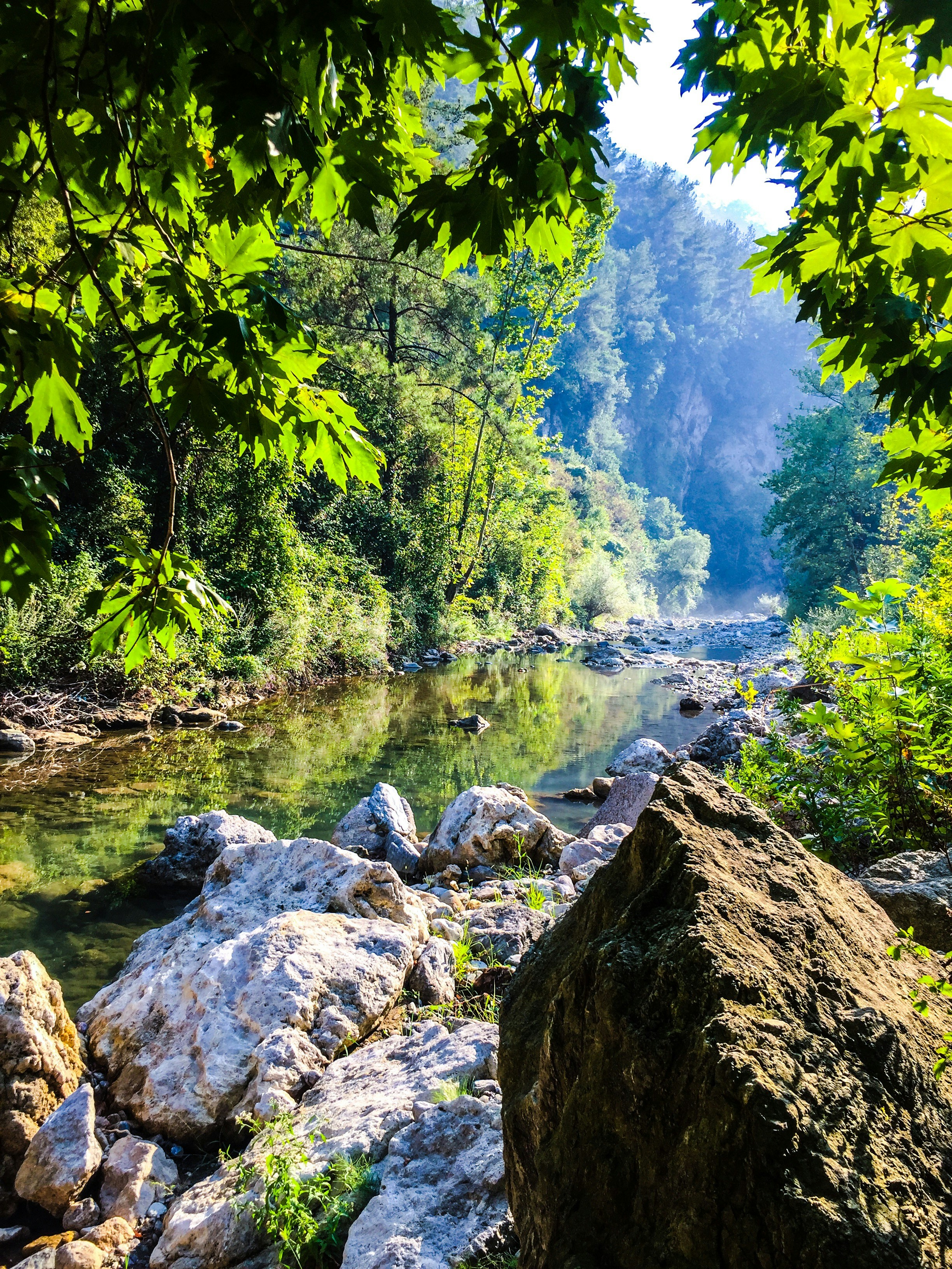 Photo by pnargultekin