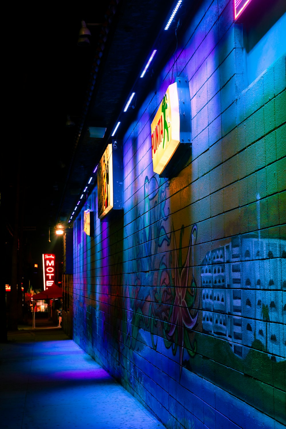 blue and purple lighted wall