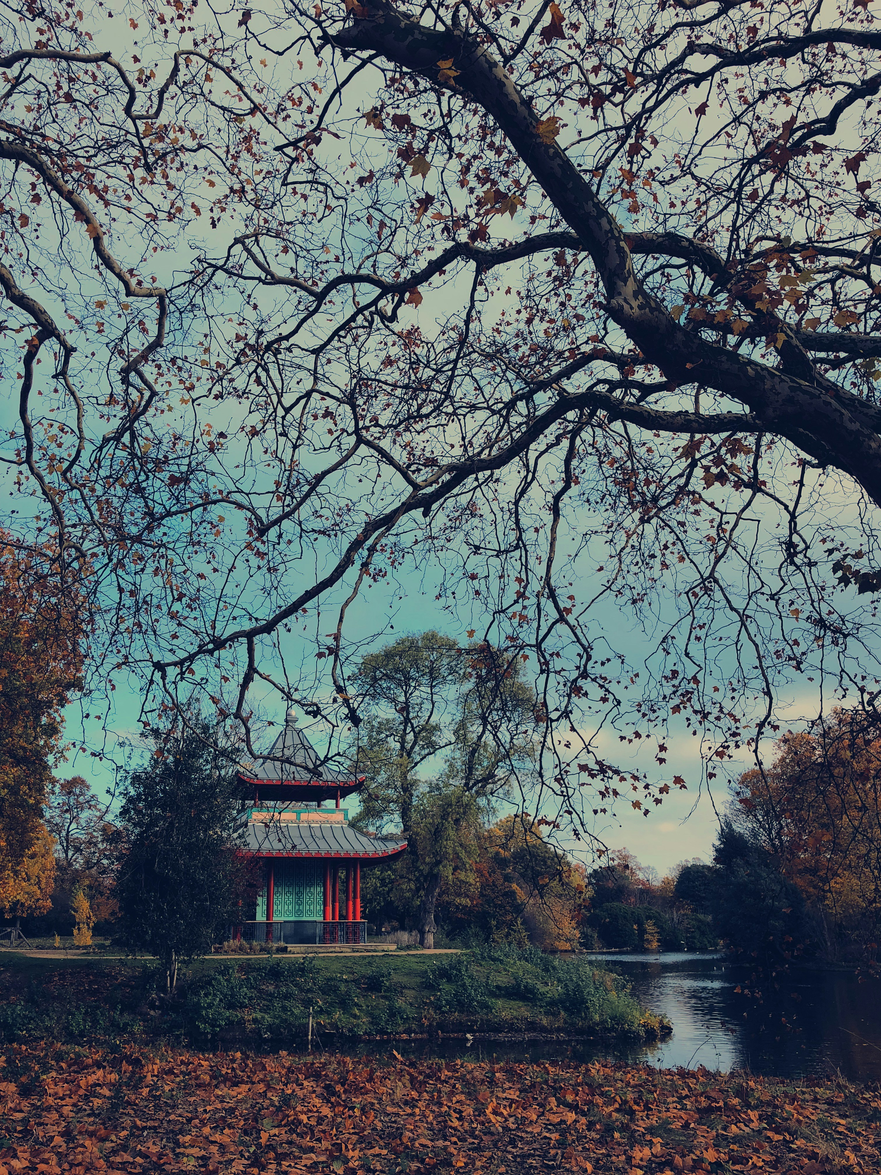 brown and red wooden house surrounded by trees during daytime