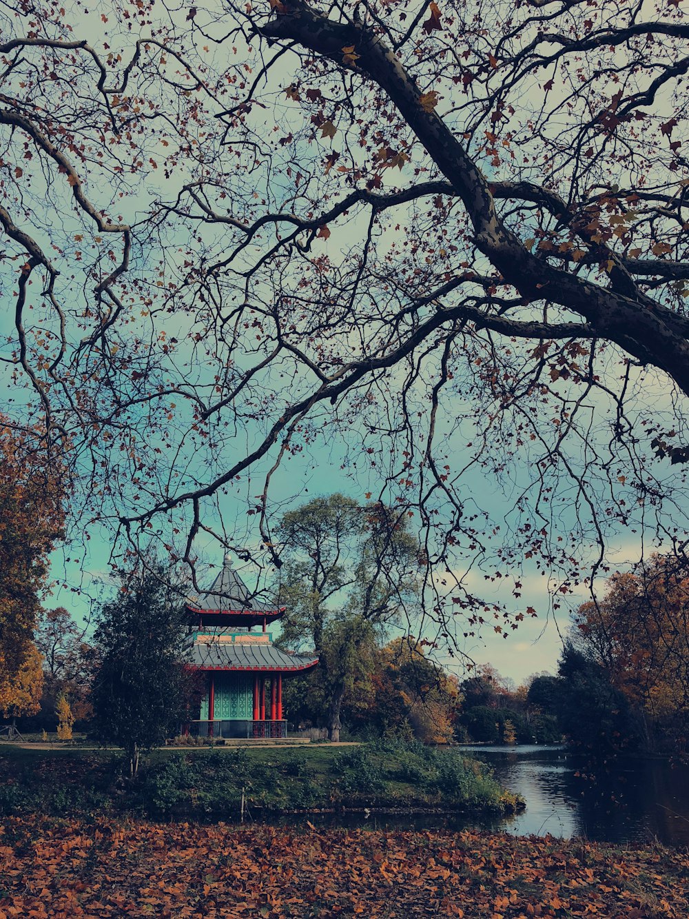 brown and red wooden house surrounded by trees during daytime