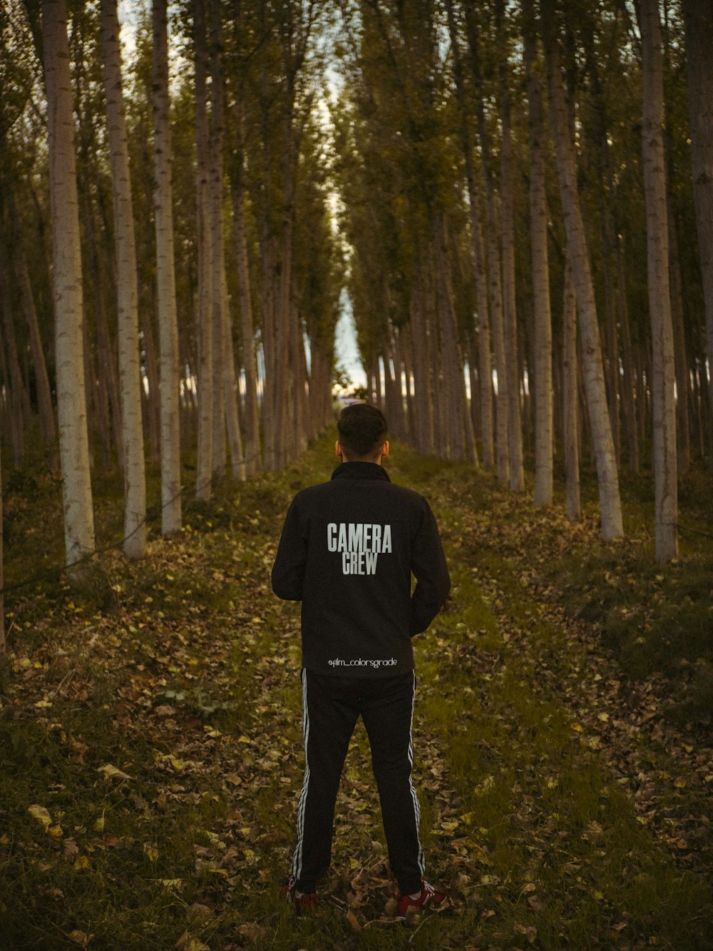 uomo in giacca nera in piedi sulla foresta durante il giorno