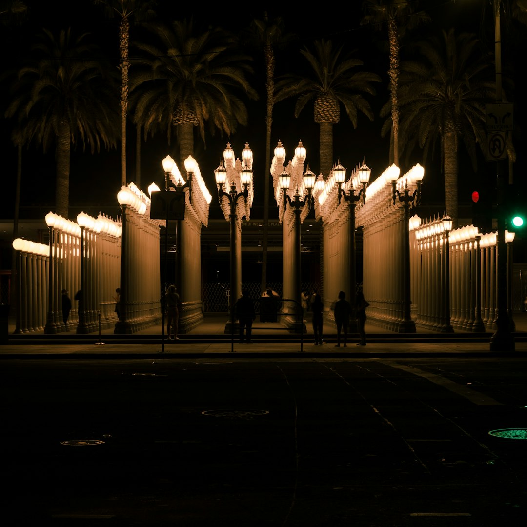 people standing on street during night time