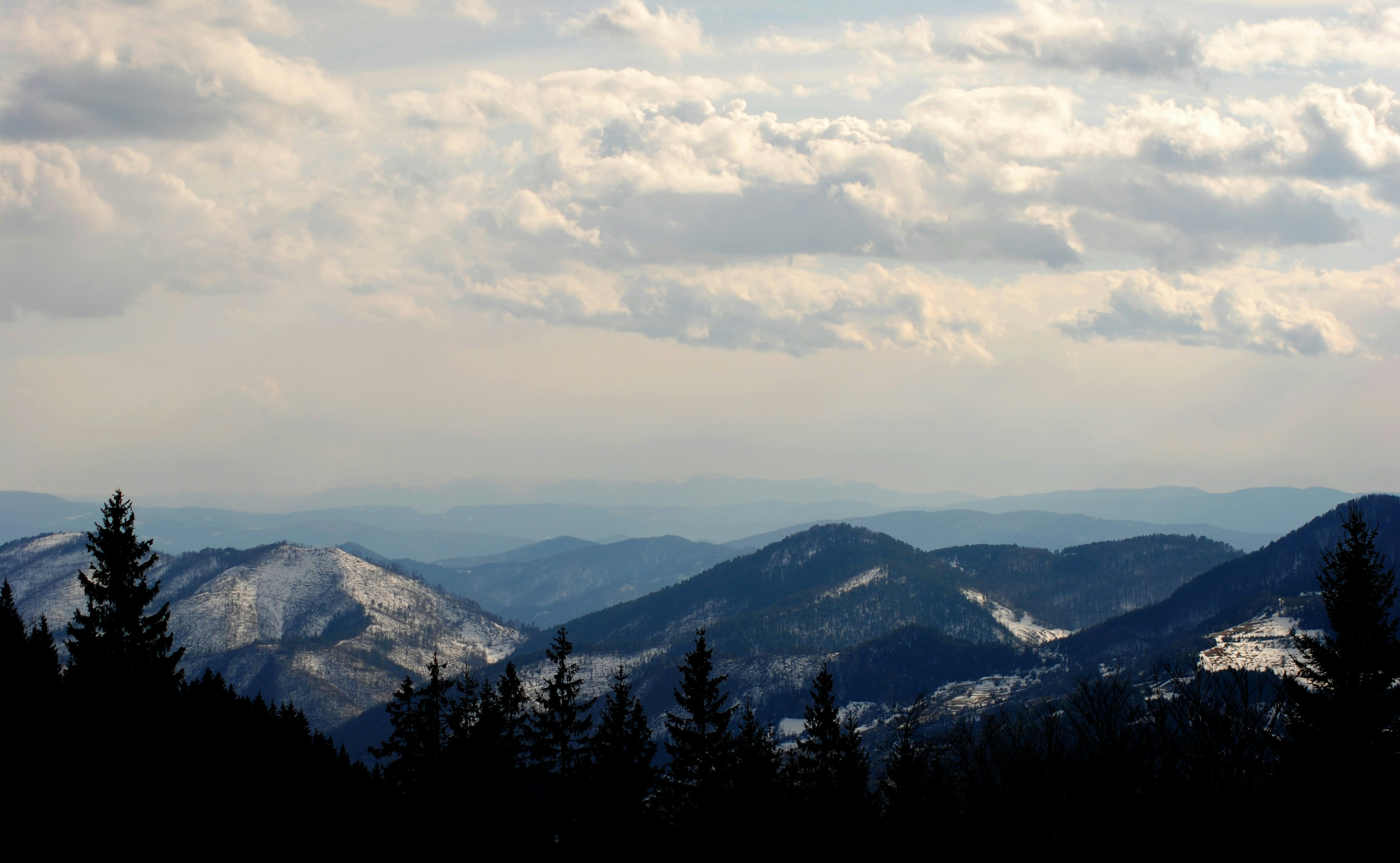 green trees on mountain under white clouds during daytime, 