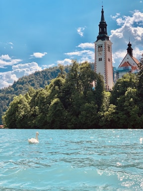 A serene landscape featuring a large body of light blue water with a swan gracefully gliding on its surface. In the background, lush green trees and a tall church tower with a pointed steeple rise against a partly cloudy sky.