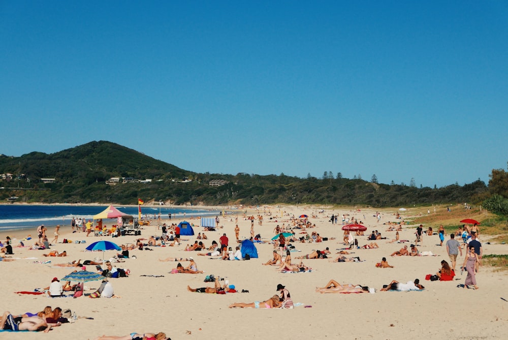 people on beach during daytime