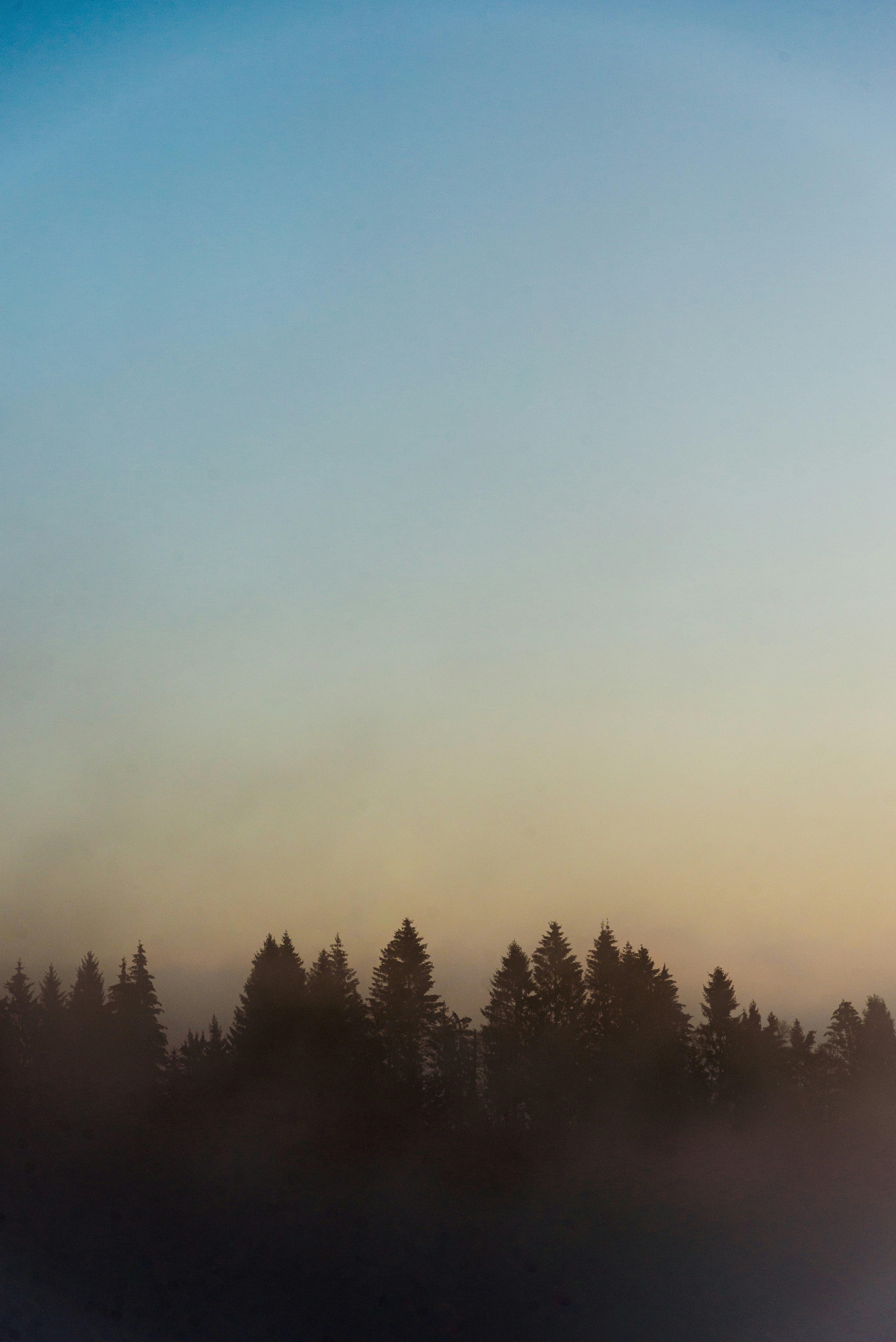 Photo by alessiac_jpg