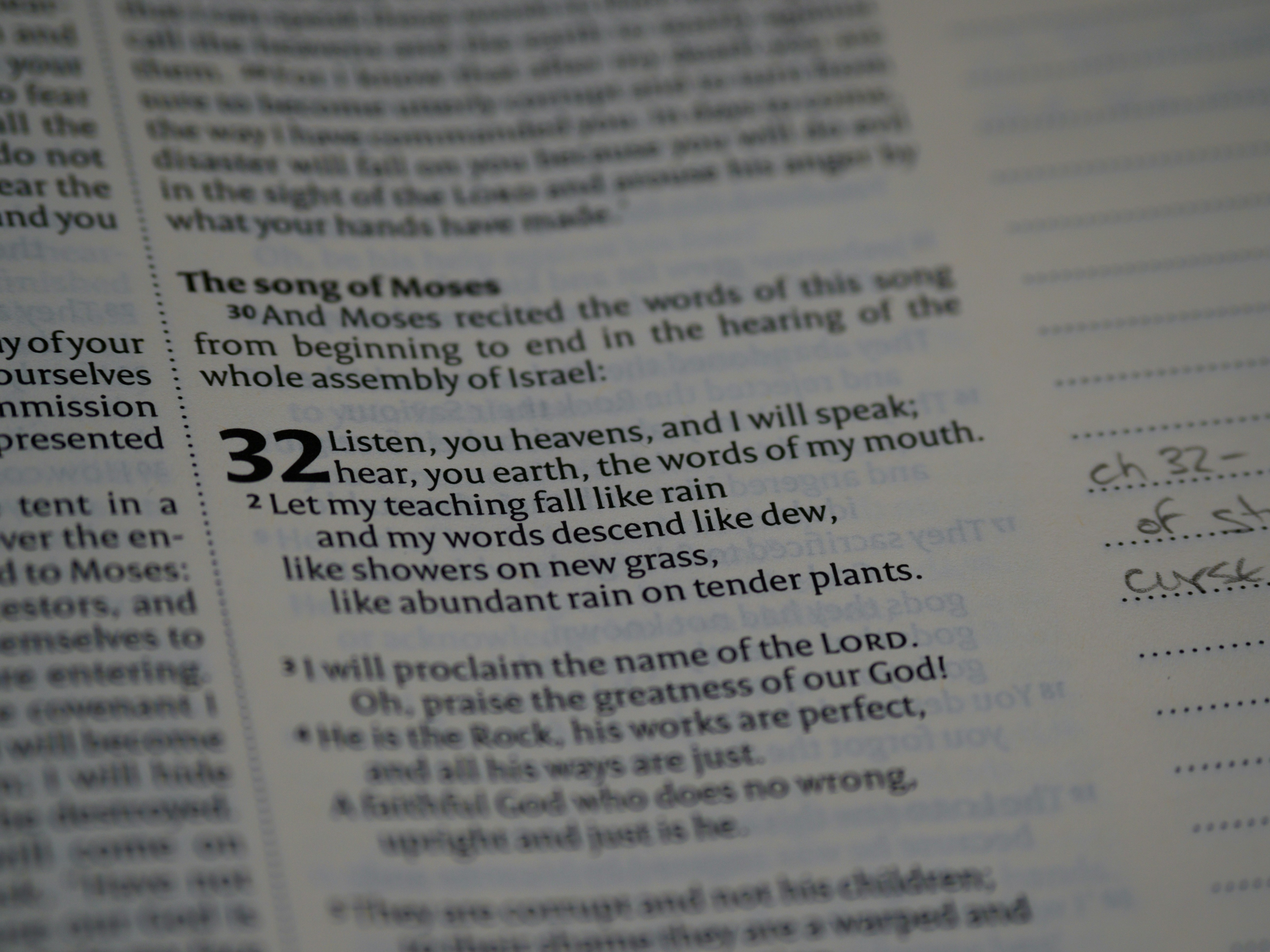 Discover Jesus in Genesis