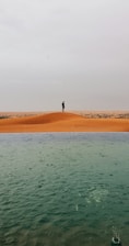 person standing on brown sand near body of water during daytime