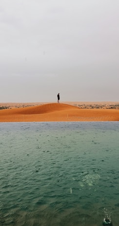 person standing on brown sand near body of water during daytime