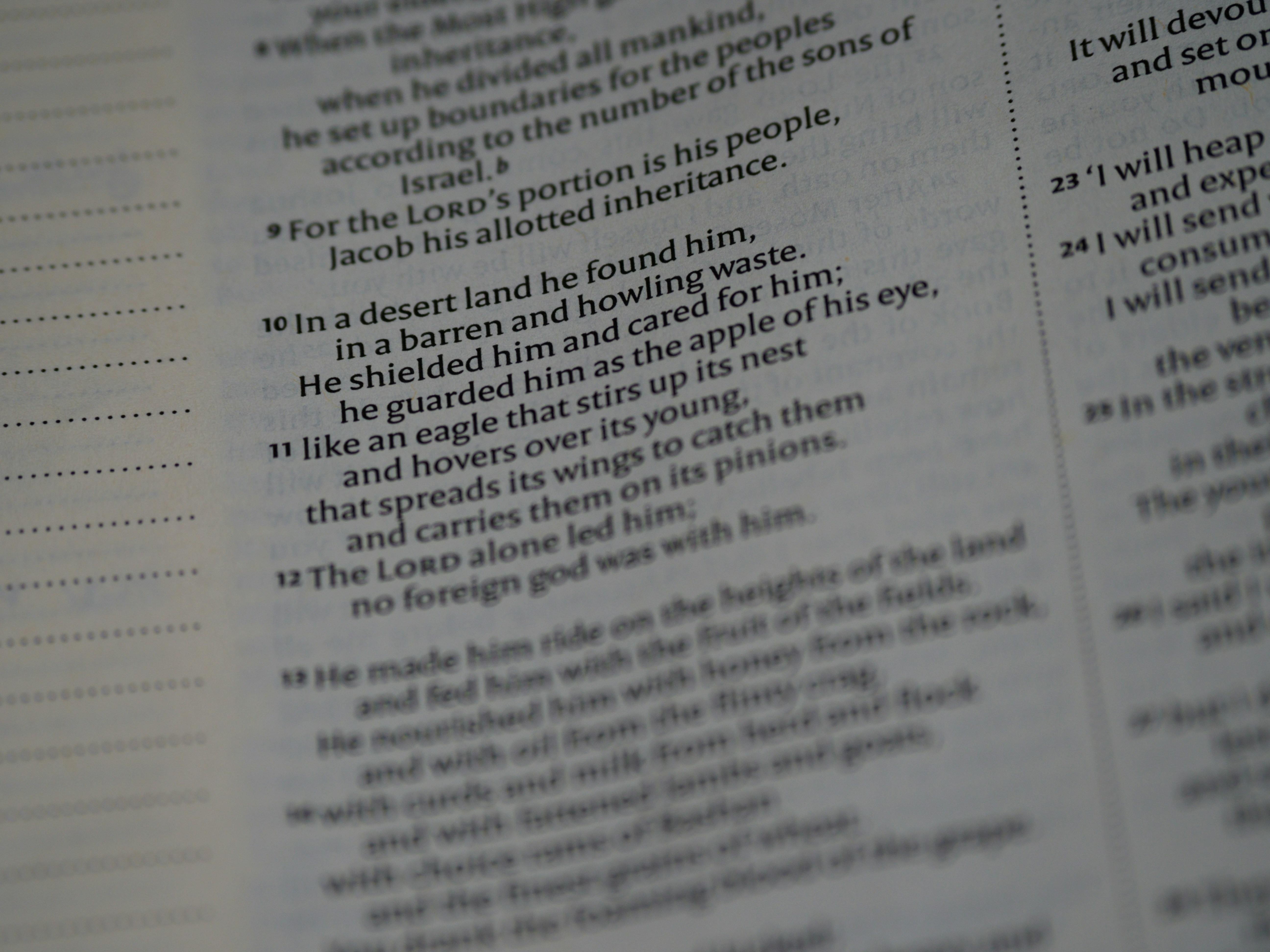 photo-1605526124287-3c4ab2185920?ixid=M3wxMjA3fDB8MXxzZWFyY2h8MTl8fCVFMiU5OCU4NSVFMiU5OCU4NSVFMiU5OCU4NSVFMiU5OCU4NSVFRCU4QyU4QyVFQyU5QiU4QyVFQyU5NSVCRCVFQSVCNSVBRCUyMDElM0ExJTIwJUVCJUE3JTlFJUVDJUI2JUE0JTIwJUVDJTgzJTgxJUVCJThCJUI0JTIwJUVCJUIwJTk0JUVCJUExJTlDJUVBJUIwJTgwJUVBJUI4JUIwJTIwJUUyJTk5JUExJUUyJTk4JTlDfGVufDB8fHx8MTc2OTAyMjY0M3ww\u0026ixlib=rb-4.1.0