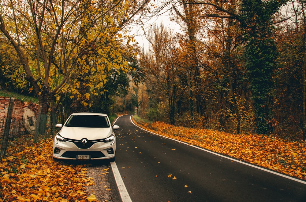 white and black car on road surrounded by trees during daytime